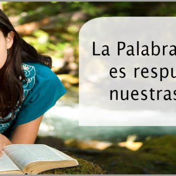 frase_01 frase 01