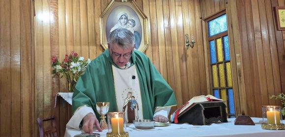 REUNIÓN SIERVOS SEMILLA