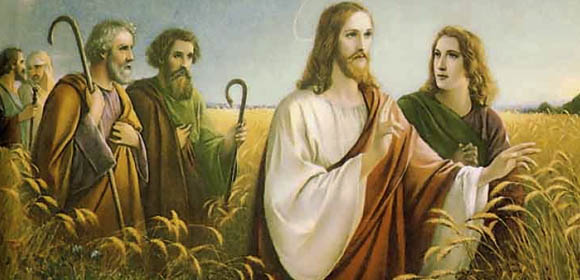 JESP EVANGELIO DE CADA DÍA